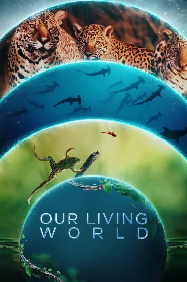 Our Living World - 1. Sezon 2. Bölüm İzle