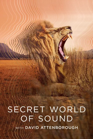 Secret World of Sound - 1. Sezon 1. Bölüm İzle